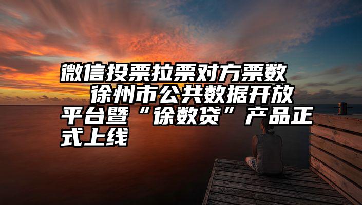 微信投票拉票对方票数   徐州市公共数据开放平台暨“徐数贷”产品正式上线