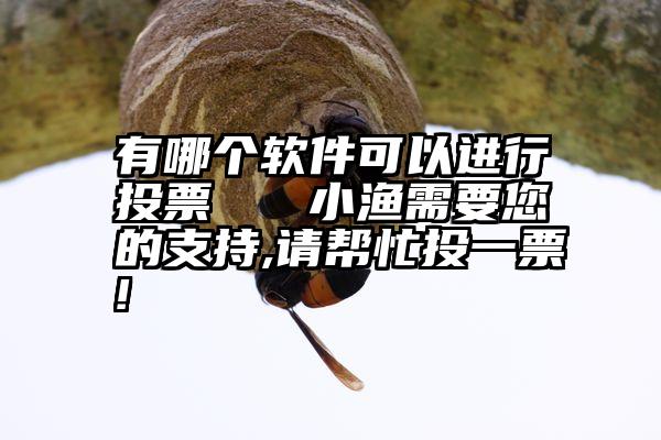 有哪个软件可以进行投票   小渔需要您的支持,请帮忙投一票!