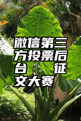 微信第三方投票后台   征文大赛