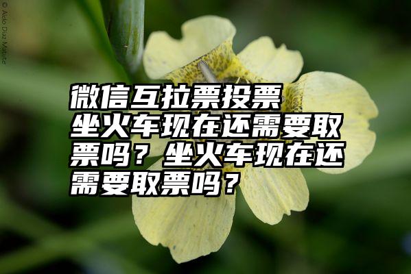 微信互拉票投票   坐火车现在还需要取票吗？坐火车现在还需要取票吗？