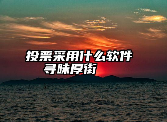 投票采用什么软件   寻味厚街