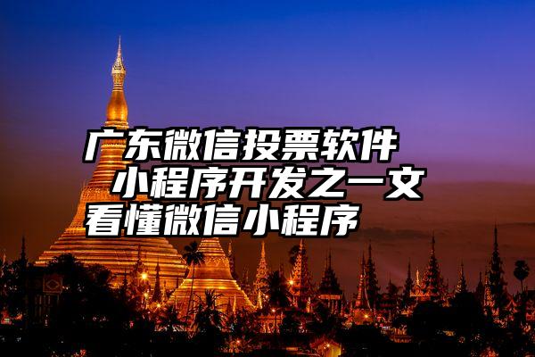 广东微信投票软件   小程序开发之一文看懂微信小程序