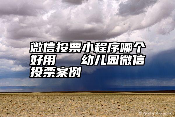 微信投票小程序哪个好用   幼儿园微信投票案例