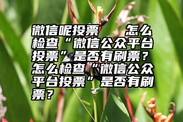 微信呢投票   怎么检查“微信公众平台投票”是否有刷票？怎么检查“微信公众平台投票”是否有刷票？