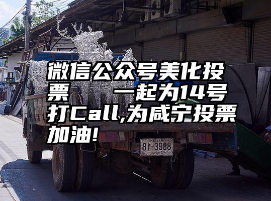 微信公众号美化投票   一起为14号打Call,为咸宁投票加油!