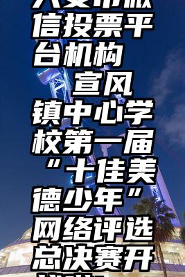 六安市微信投票平台机构   宣风镇中心学校第一届“十佳美德少年”网络评选总决赛开战啦!