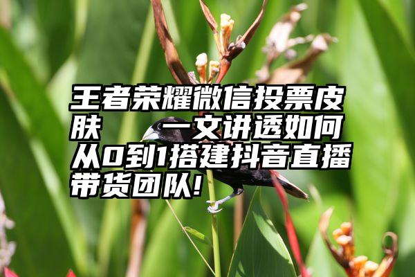 王者荣耀微信投票皮肤   一文讲透如何从0到1搭建抖音直播带货团队!