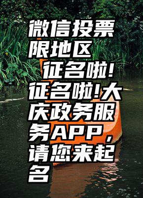 微信投票限地区   征名啦!征名啦!大庆政务服务APP，请您来起名