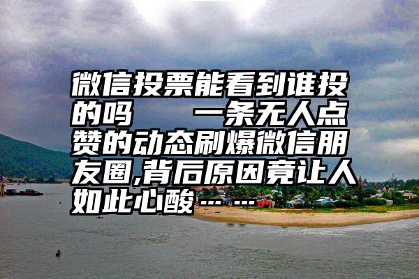 微信投票能看到谁投的吗   一条无人点赞的动态刷爆微信朋友圈,背后原因竟让人如此心酸……