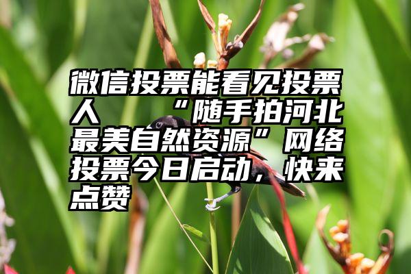 微信投票能看见投票人   “随手拍河北最美自然资源”网络投票今日启动，快来点赞