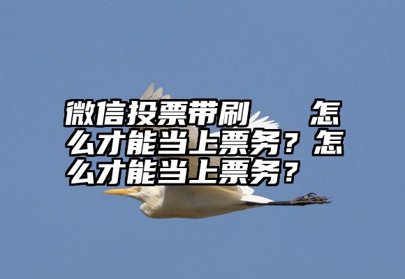 微信投票带刷   怎么才能当上票务？怎么才能当上票务？