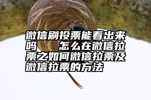 微信刷投票能看出来吗   怎么在微信拉票之如何微信拉票及微信拉票的方法