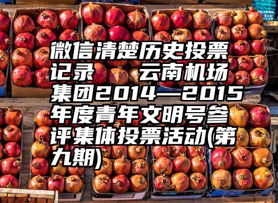 微信清楚历史投票记录   云南机场集团2014—2015年度青年文明号参评集体投票活动(第九期)