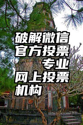 破解微信官方投票   专业网上投票机构