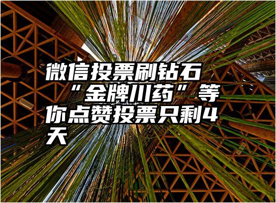 微信投票刷钻石   “金牌川药”等你点赞投票只剩4天