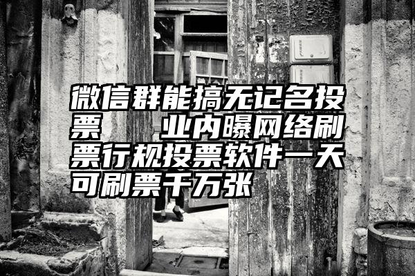 微信群能搞无记名投票   业内曝网络刷票行规投票软件一天可刷票千万张