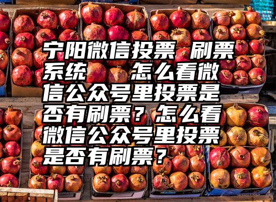 宁阳微信投票 刷票系统   怎么看微信公众号里投票是否有刷票？怎么看微信公众号里投票是否有刷票？