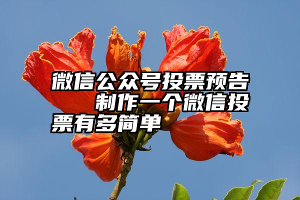 微信公众号投票预告   制作一个微信投票有多简单