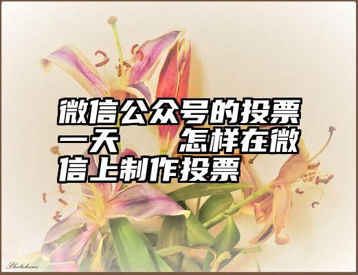 微信公众号的投票一天   怎样在微信上制作投票