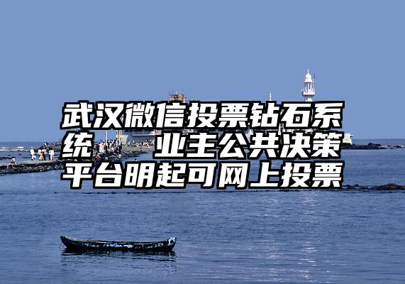 武汉微信投票钻石系统   业主公共决策平台明起可网上投票