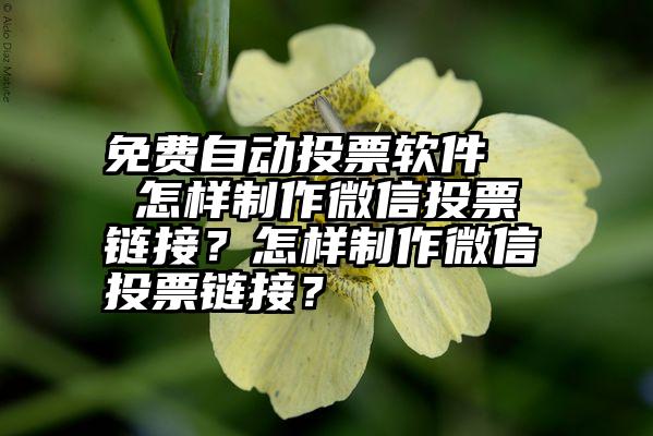 免费自动投票软件   怎样制作微信投票链接？怎样制作微信投票链接？