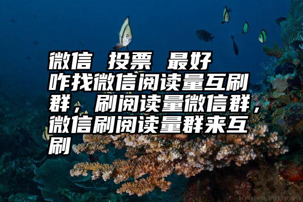 微信 投票 最好   咋找微信阅读量互刷群，刷阅读量微信群，微信刷阅读量群来互刷