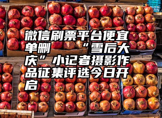 微信刷票平台便宜 单删 “雪后大庆”小记者摄影作品征集评选今日开启
