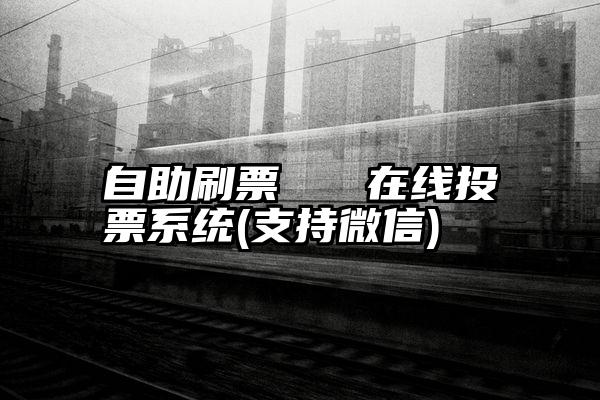 自助刷票   在线投票系统(支持微信)