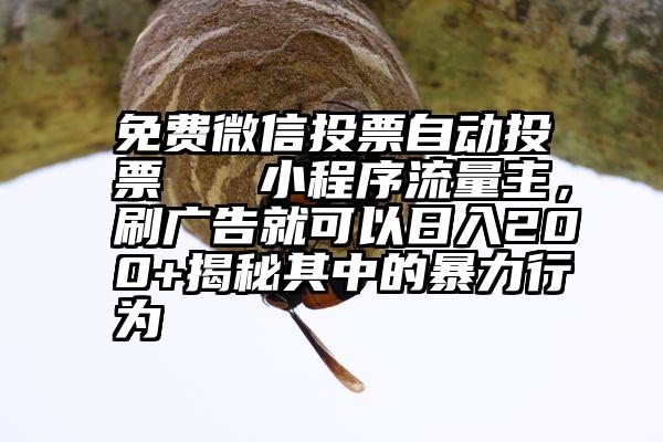 免费微信投票自动投票   小程序流量主，刷广告就可以日入200+揭秘其中的暴力行为