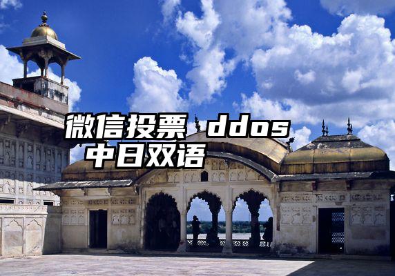 微信投票 ddos   中日双语