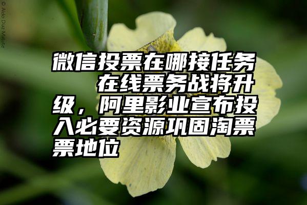 微信投票在哪接任务   在线票务战将升级，阿里影业宣布投入必要资源巩固淘票票地位