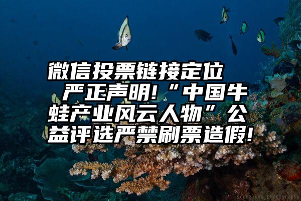 微信投票链接定位   严正声明!“中国牛蛙产业风云人物”公益评选严禁刷票造假!