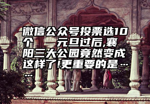 微信公众号投票选10个   元旦过后,襄阳三大公园竟然变成这样了!更重要的是……